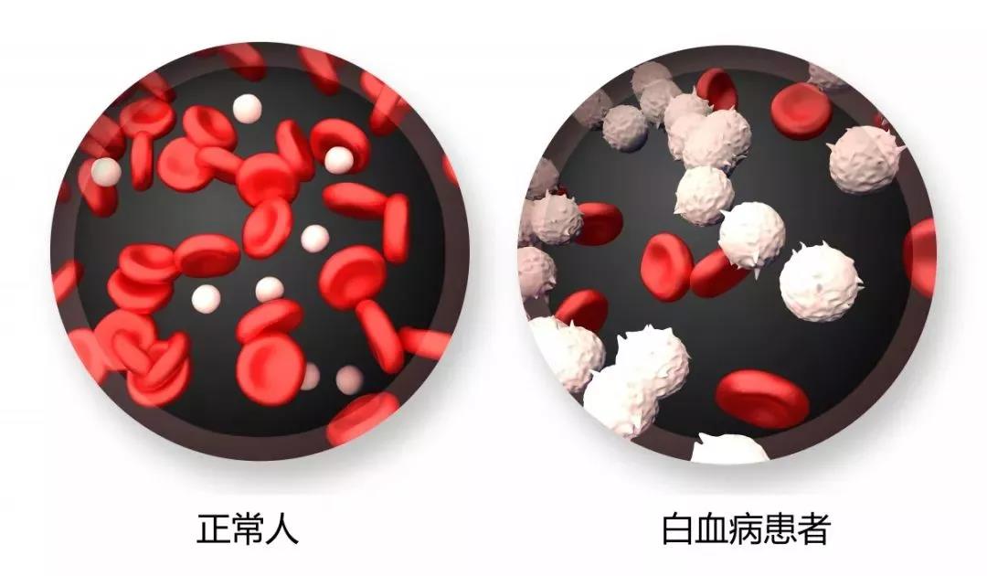 微信图片_20210205095117.jpg